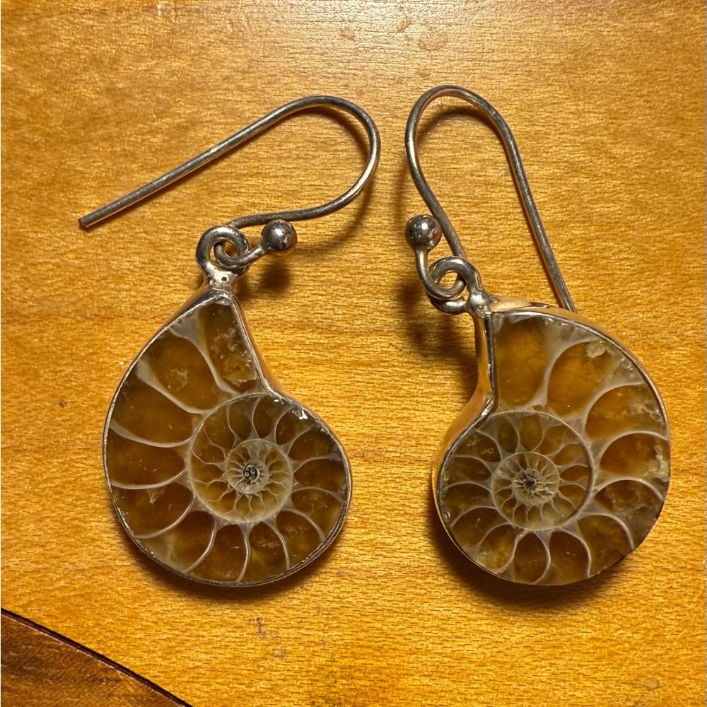Silver and Brown Ammonite Earrings